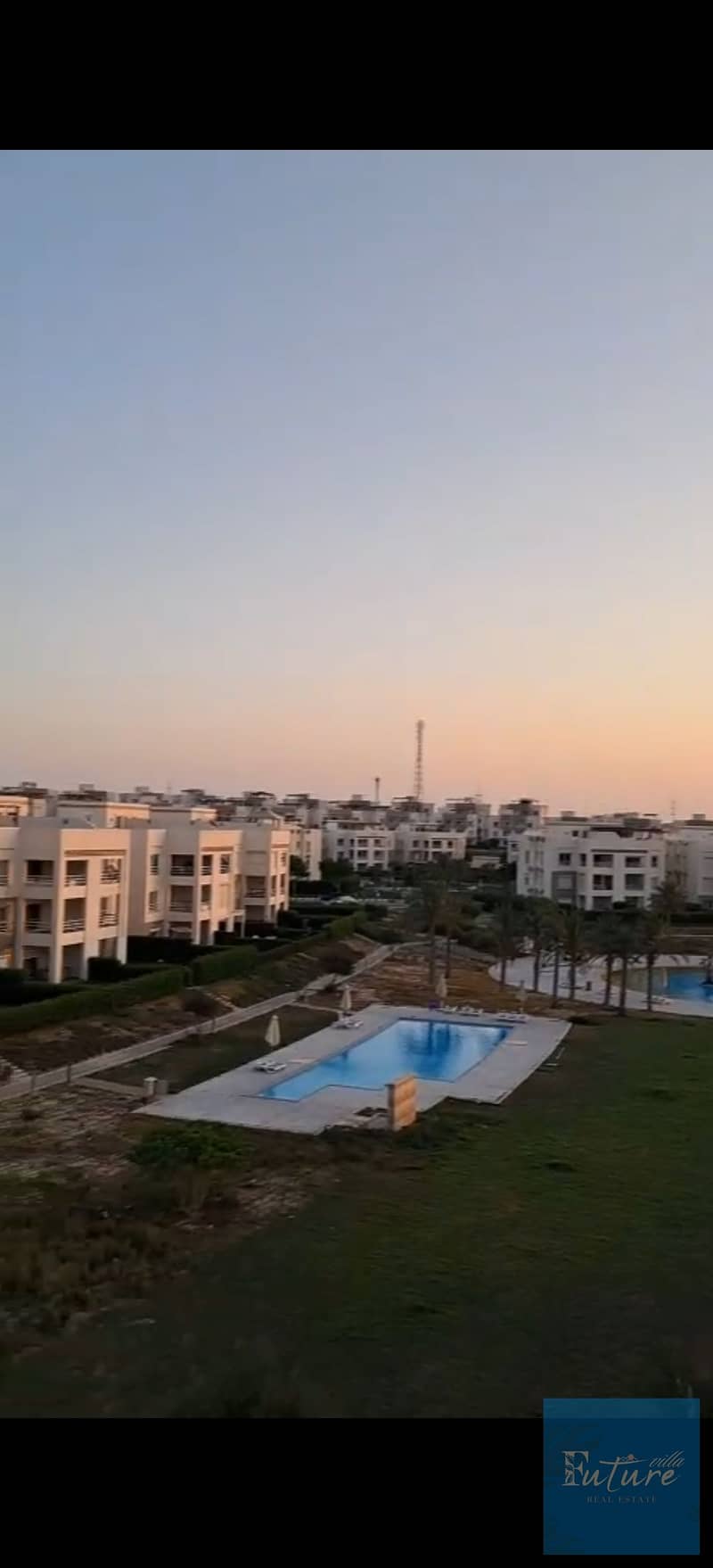 3 135773. jpg