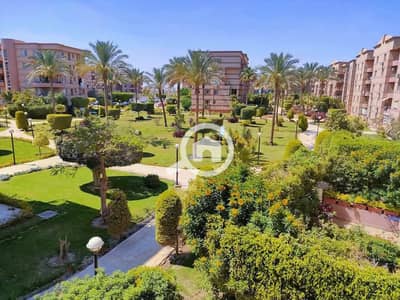 3 Bedroom Flat for Sale in New Cairo, Cairo - 551971. jpg