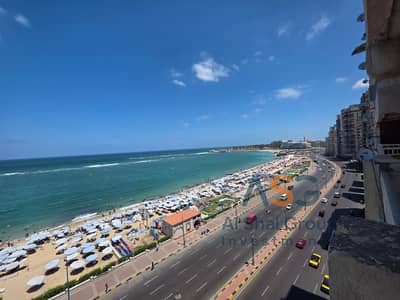 4 Bedroom Apartment for Sale in Mandara, Alexandria - WhatsApp Image 2026-07-08 at 6.31. 07 PM. jpeg 4 Bedroom Apartment for Sale in Mandara, Alexandria - WhatsApp Image 2026-07-08 at 6.31. 07 PM. jpeg