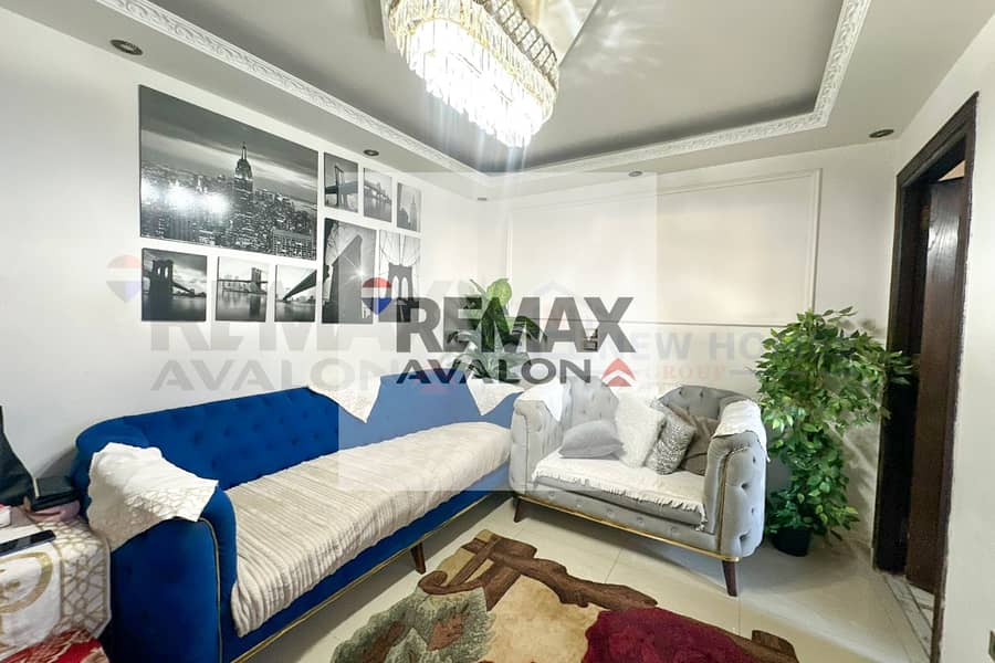 5 5. jpg