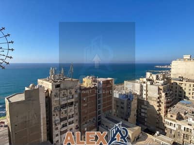 شقة 2 غرفة نوم للبيع في سبورتنج، الإسكندرية - WhatsApp Image 2026-07-11 at 5.07. 52 PM. jpeg شقة 2 غرفة نوم للبيع في سبورتنج، الإسكندرية - WhatsApp Image 2026-07-11 at 5.07. 52 PM. jpeg