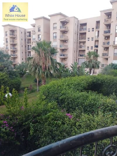 3 Bedroom Flat for Rent in New Cairo, Cairo - WhatsApp Image 2026-07-11 at 5.37. 02 PM. jpeg