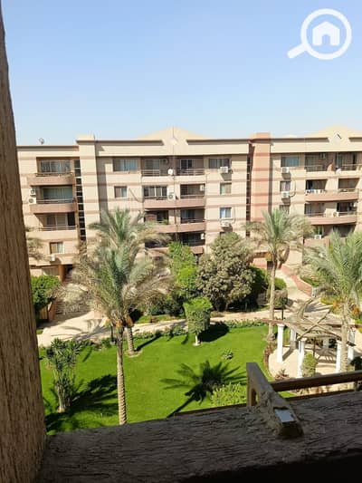 فلیٹ 2 غرفة نوم للايجار في القاهرة الجديدة، القاهرة - WhatsApp Image 2026-07-08 at 3.30. 44 PM (1). jpeg فلیٹ 2 غرفة نوم للايجار في القاهرة الجديدة، القاهرة - WhatsApp Image 2026-07-08 at 3.30. 44 PM (1). jpeg