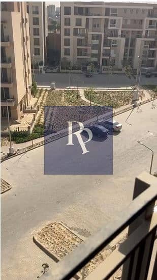 11 787878. JPG