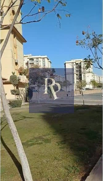 9 345678. JPG
