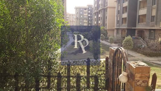 3 Bedroom Flat for Rent in Nasr City, Cairo - WhatsApp Image 2026-02-16 at 6.57. 50 PM. jpeg 3 Bedroom Flat for Rent in Nasr City, Cairo - WhatsApp Image 2026-02-16 at 6.57. 50 PM. jpeg