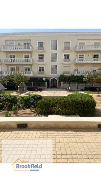 3 Bedroom Apartment for Rent in New Cairo, Cairo - WhatsApp Image 2026-06-23 at 3.46. 06 PM. jpg 3 Bedroom Apartment for Rent in New Cairo, Cairo - WhatsApp Image 2026-06-23 at 3.46. 06 PM. jpg