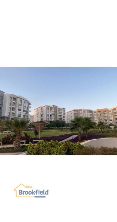 3 Bedroom Apartment for Rent in New Cairo, Cairo - WhatsApp Image 2026-07-04 at 7.25. 17 PM. jpg 3 Bedroom Apartment for Rent in New Cairo, Cairo - WhatsApp Image 2026-07-04 at 7.25. 17 PM. jpg