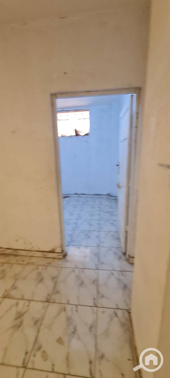 3 1000238539. jpg