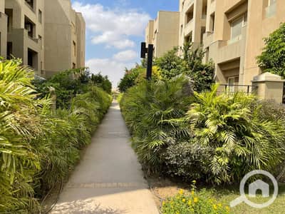 2 Bedroom Flat for Rent in New Cairo, Cairo - 1e28fa21-abce-413a-b5ee-6ca4368b46c0. jpeg 2 Bedroom Flat for Rent in New Cairo, Cairo - 1e28fa21-abce-413a-b5ee-6ca4368b46c0. jpeg