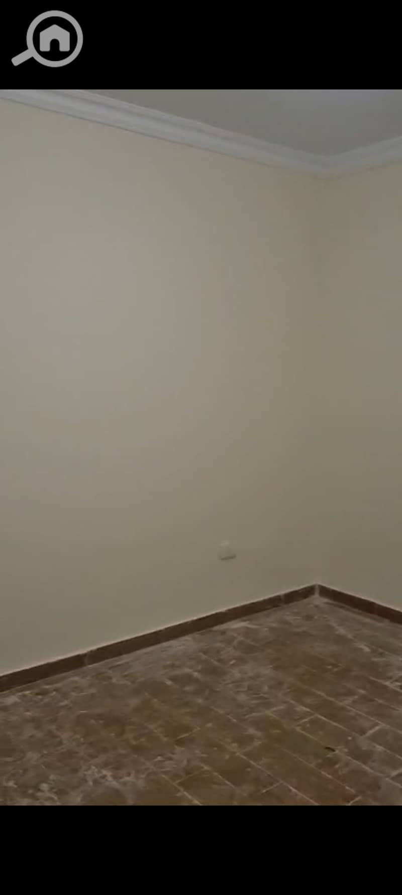 8 1000612388. png