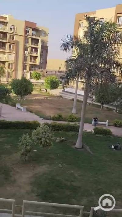 شقة 3 غرف نوم للبيع في القاهرة الجديدة، القاهرة - WhatsApp Video 2026-07-12 at 12.44. 23 AM_000012. jpg شقة 3 غرف نوم للبيع في القاهرة الجديدة، القاهرة - WhatsApp Video 2026-07-12 at 12.44. 23 AM_000012. jpg