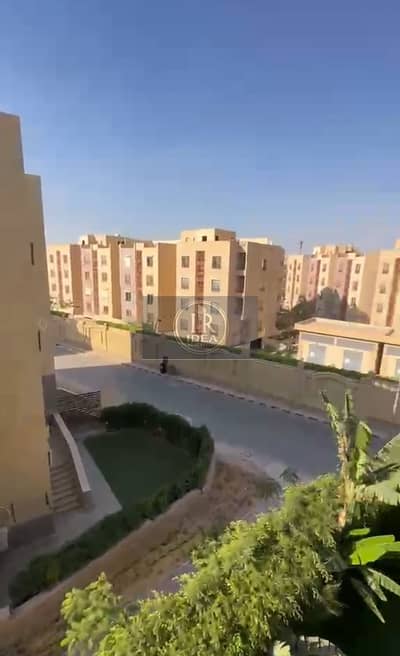 3 Bedroom Flat for Rent in New Cairo, Cairo - 1000470226. jpg 3 Bedroom Flat for Rent in New Cairo, Cairo - 1000470226. jpg