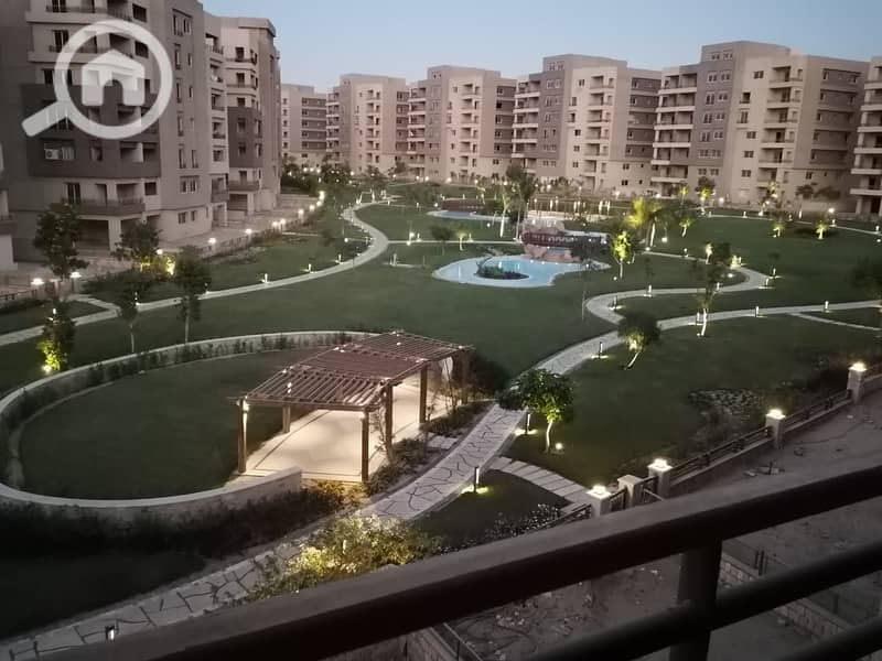 8 31837. jpg