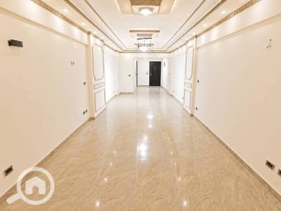 3 Bedroom Flat for Rent in Smoha, Alexandria - IMG_0790. jpg 3 Bedroom Flat for Rent in Smoha, Alexandria - IMG_0790. jpg