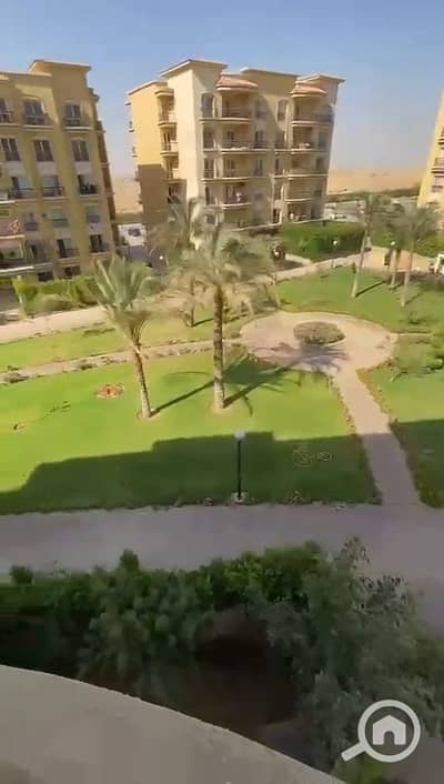 3 Bedroom Apartment for Rent in New Cairo, Cairo - 1001138423. jpg 3 Bedroom Apartment for Rent in New Cairo, Cairo - 1001138423. jpg