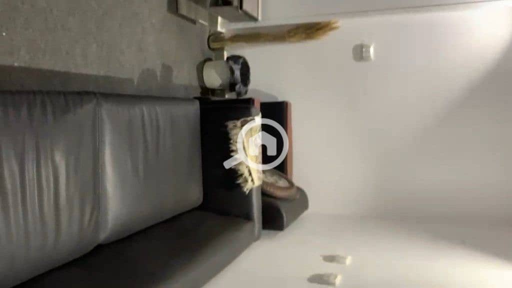 9 1. mp4_snapshot_01.13. 733. jpg