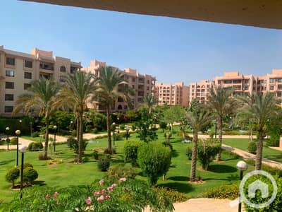 3 Bedroom Apartment for Rent in New Cairo, Cairo - 553325. jpg 3 Bedroom Apartment for Rent in New Cairo, Cairo - 553325. jpg