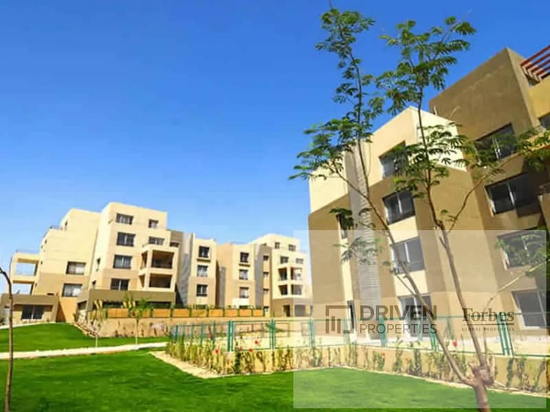 5 palm-park-1667480806. jpg