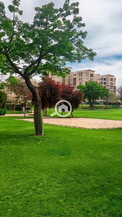 3 Bedroom Flat for Sale in Madinaty, Cairo - aeb1ee49-4541-4afc-a841-f682e51ec115. jpg 3 Bedroom Flat for Sale in Madinaty, Cairo - aeb1ee49-4541-4afc-a841-f682e51ec115. jpg