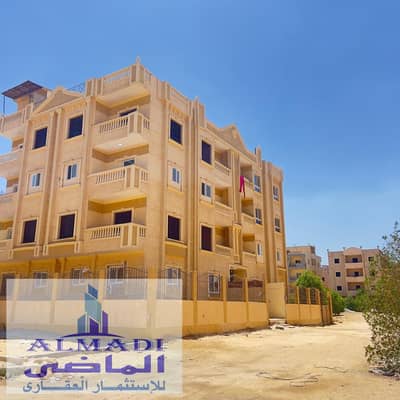 3 Bedroom Apartment for Sale in Badr City, Cairo - 64089. jpg 3 Bedroom Apartment for Sale in Badr City, Cairo - 64089. jpg