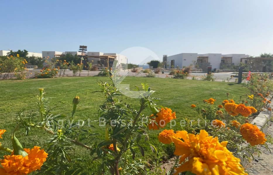 10 Somabay live photos_page-0037. jpg