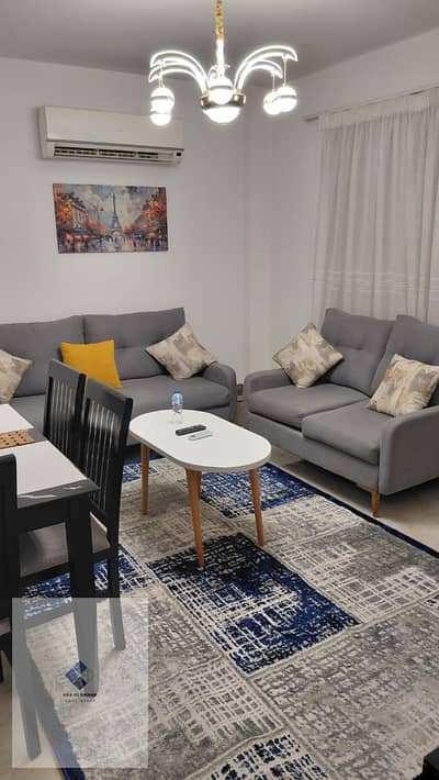 Studio for Rent in New Cairo, Cairo - WhatsApp Image 2026-07-12 at 12.32. 38 PM. jpeg