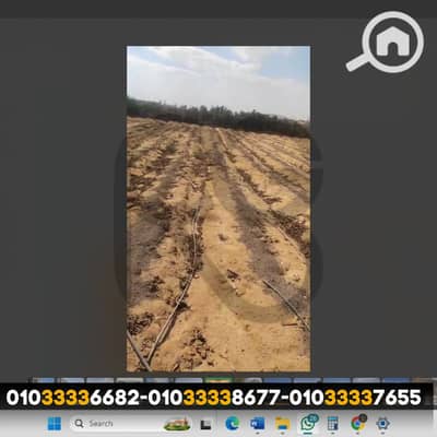 Agricultural Land for Sale in Al Ibrahimiyyah, Alexandria - 3. png Agricultural Land for Sale in Al Ibrahimiyyah, Alexandria - 3. png