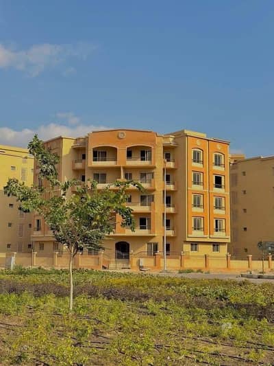10+ Beds Other Residential for Sale in Hadayek October, Giza - 1. jpg 10+ Beds Other Residential for Sale in Hadayek October, Giza - 1. jpg