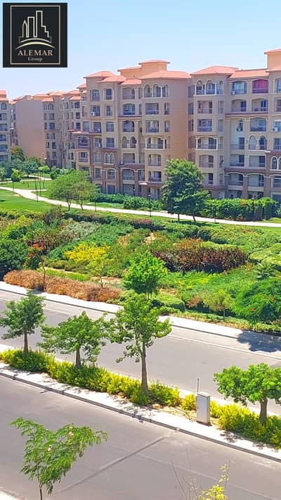 3 Bedroom Flat for Rent in Madinaty, Cairo - 1000729850. jpg 3 Bedroom Flat for Rent in Madinaty, Cairo - 1000729850. jpg