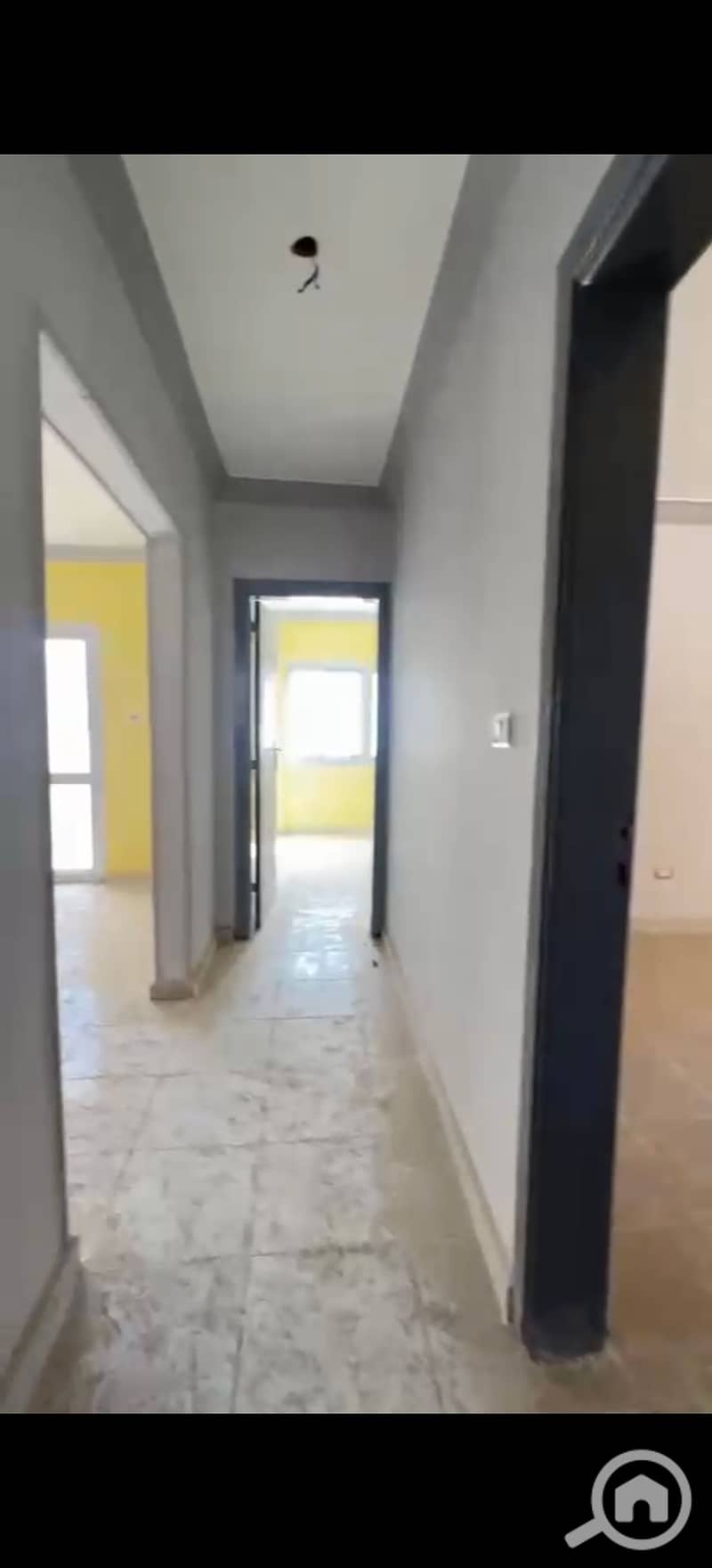 4 293435. jpg