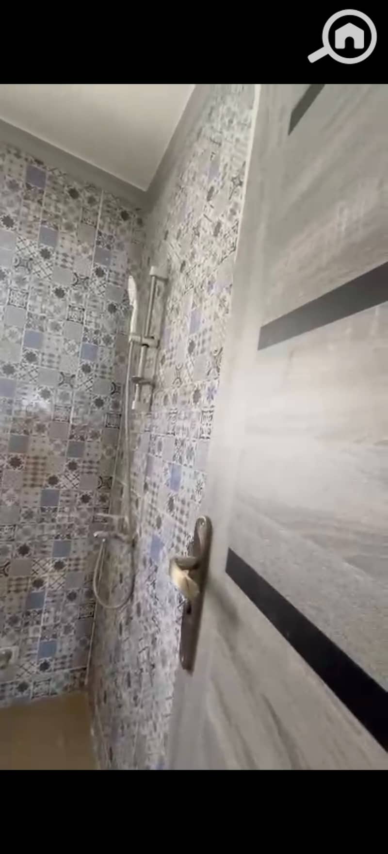 6 293431. jpg
