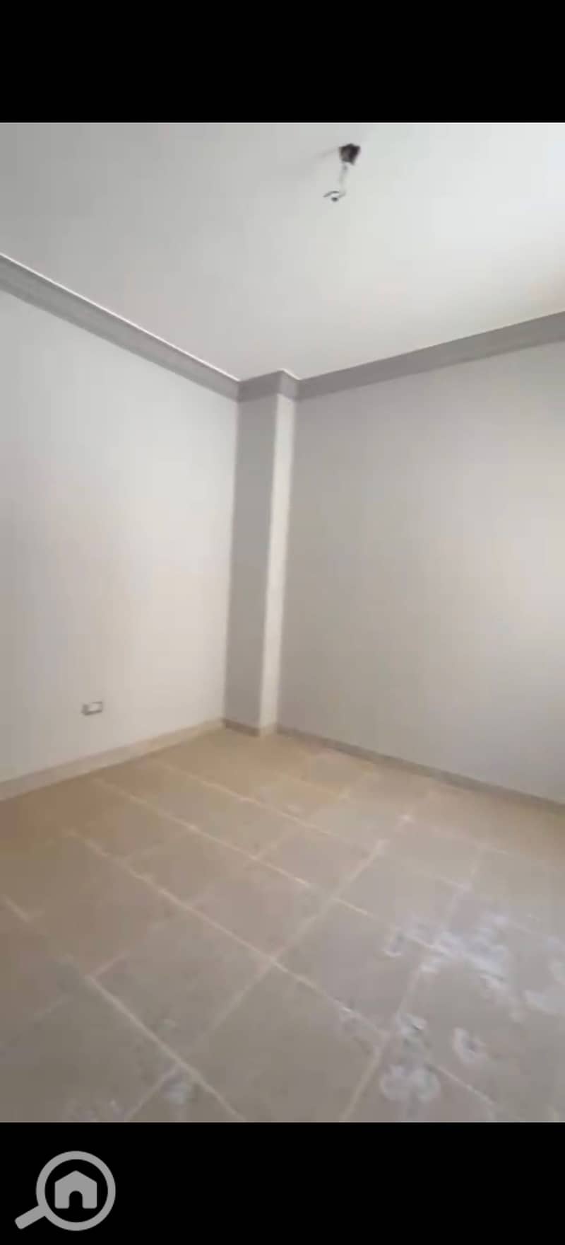 8 293429. jpg