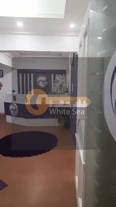 Office for Rent in Laurent, Alexandria - 1001166250. jpg