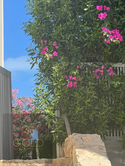 3 Bedroom Chalet for Rent in North Coast, Matruh - WhatsApp Image 2026-05-18 at 4.18. 43 PM (1). jpeg