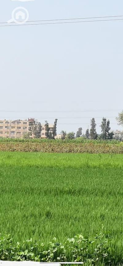 Industrial for Sale in Sinbillawain, Dakahlia - WhatsApp Image 2026-07-08 at 12.10. 03 AM (1). jpeg
