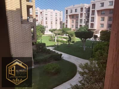 3 Bedroom Flat for Rent in New Cairo, Cairo - 442659. jpg 3 Bedroom Flat for Rent in New Cairo, Cairo - 442659. jpg