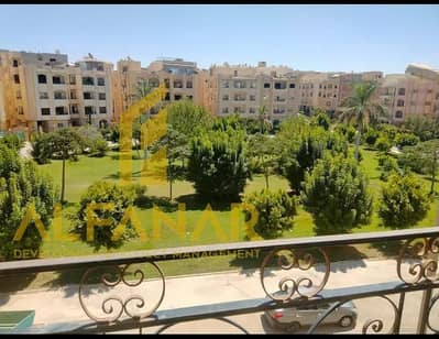 شقة 3 غرف نوم للايجار في القاهرة الجديدة، القاهرة - WhatsApp Image 2026-07-08 at 11.41. 28 AM (4). jpeg شقة 3 غرف نوم للايجار في القاهرة الجديدة، القاهرة - WhatsApp Image 2026-07-08 at 11.41. 28 AM (4). jpeg