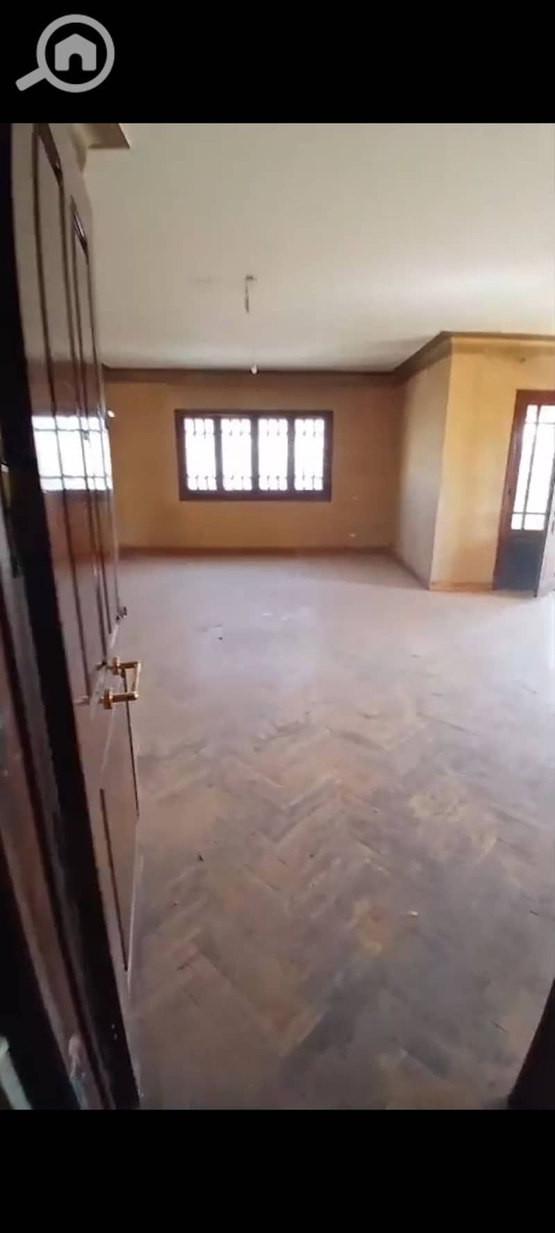 8 1000353287. jpg