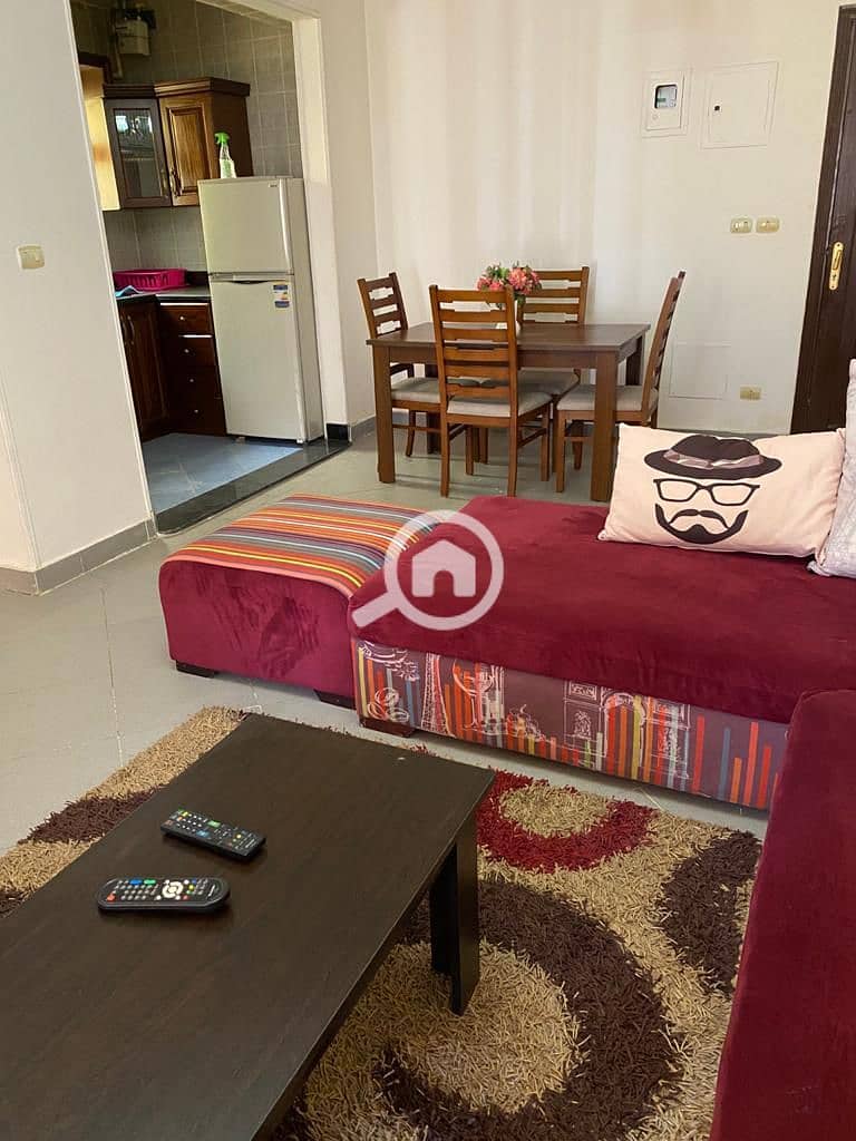 Excellent studio for rent, furnished with a view of the swimming pool - Widok 6