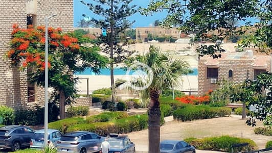 3 Bedroom Apartment for Rent in North Coast, Matruh - 1000247039. jpg