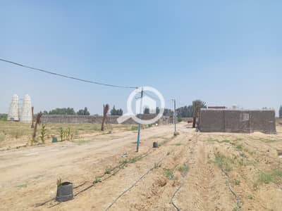 Agricultural Land for Sale in 6th of October, Giza - WhatsApp Image 2026-04-25 at 2.57. 40 PM. jpeg Agricultural Land for Sale in 6th of October, Giza - WhatsApp Image 2026-04-25 at 2.57. 40 PM. jpeg