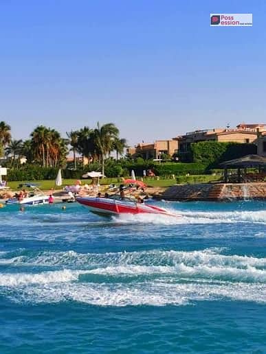 4 images. jpg