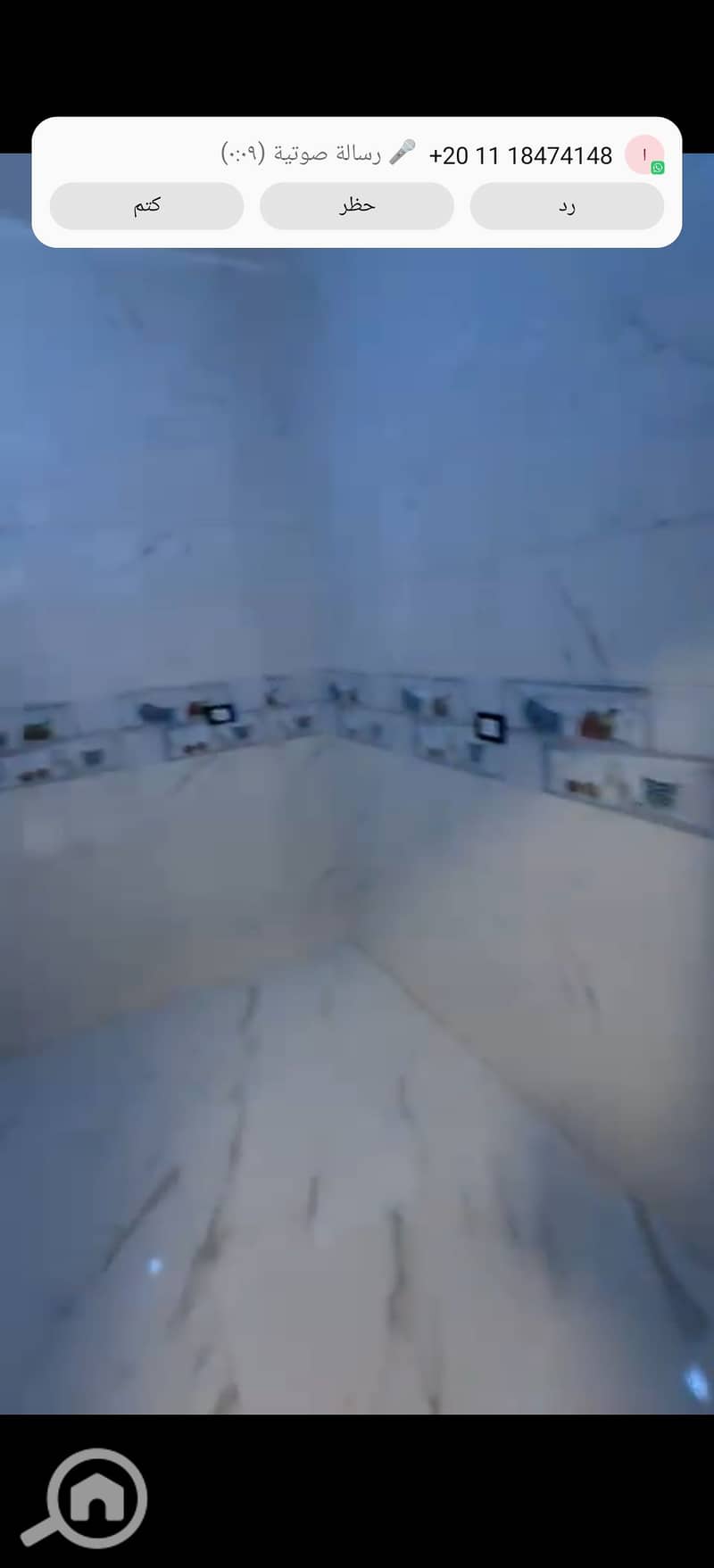 11 87954. jpg