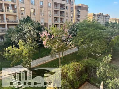 فلیٹ 2 غرفة نوم للايجار في مدينتي، القاهرة - 240609. jpg فلیٹ 2 غرفة نوم للايجار في مدينتي، القاهرة - 240609. jpg