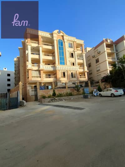 3 Bedroom Flat for Sale in New Cairo, Cairo - IMG20251022172028. jpg 3 Bedroom Flat for Sale in New Cairo, Cairo - IMG20251022172028. jpg