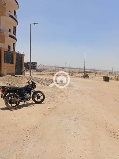 3 Bedroom Flat for Sale in Badr City, Cairo - b539e578-b82b-4e86-a5b1-2d61755dc6d6. jpeg 3 Bedroom Flat for Sale in Badr City, Cairo - b539e578-b82b-4e86-a5b1-2d61755dc6d6. jpeg