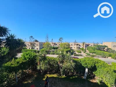 3 Bedroom Chalet for Rent in North Coast, Matruh - 137038. jpg