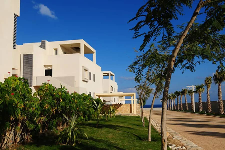 5 Hacienda White