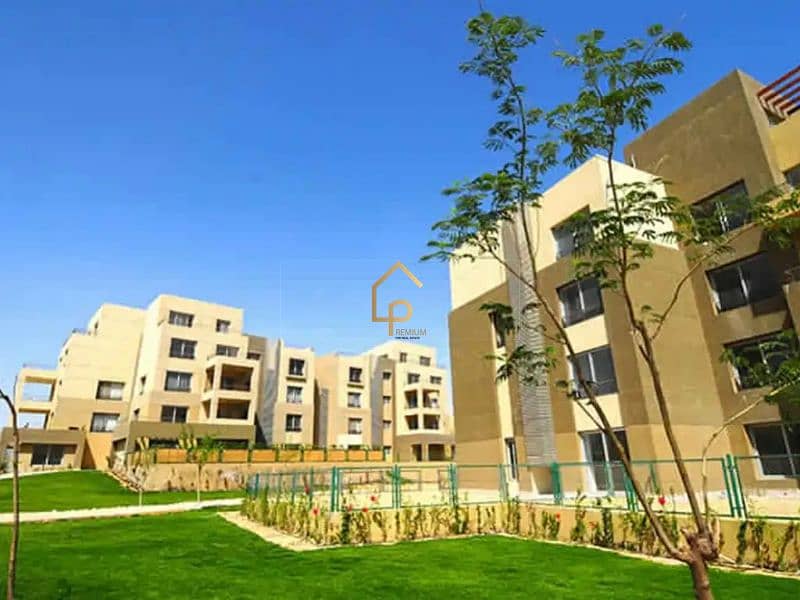 5 palm-park-1667480806. jpg